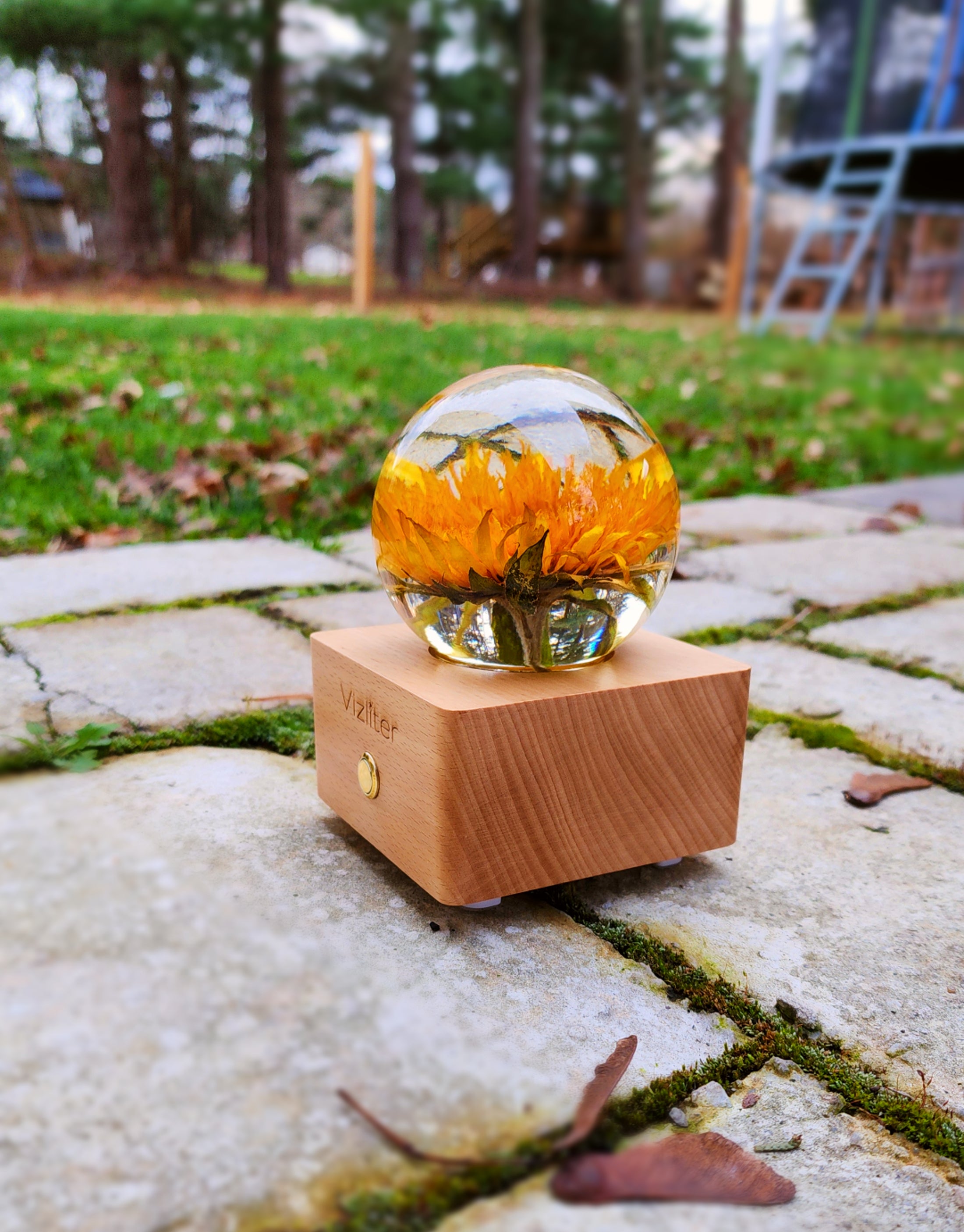Vizliter Bluetooth Speaker Crystal Ball LED 80mm Lighting Premium Preserved Natural Flower with Wood Base Never Withered Eternal Night Light Sunflower