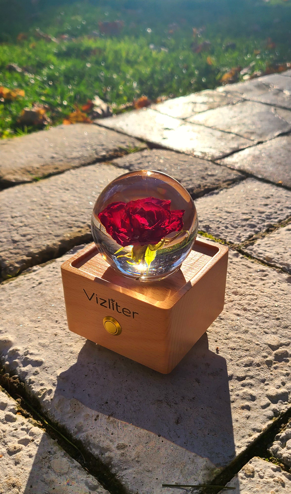 Bluetooth Speakers Crystal Ball LED Light Preserved Fresh Flower with Wood Base, Night Light Red Rose