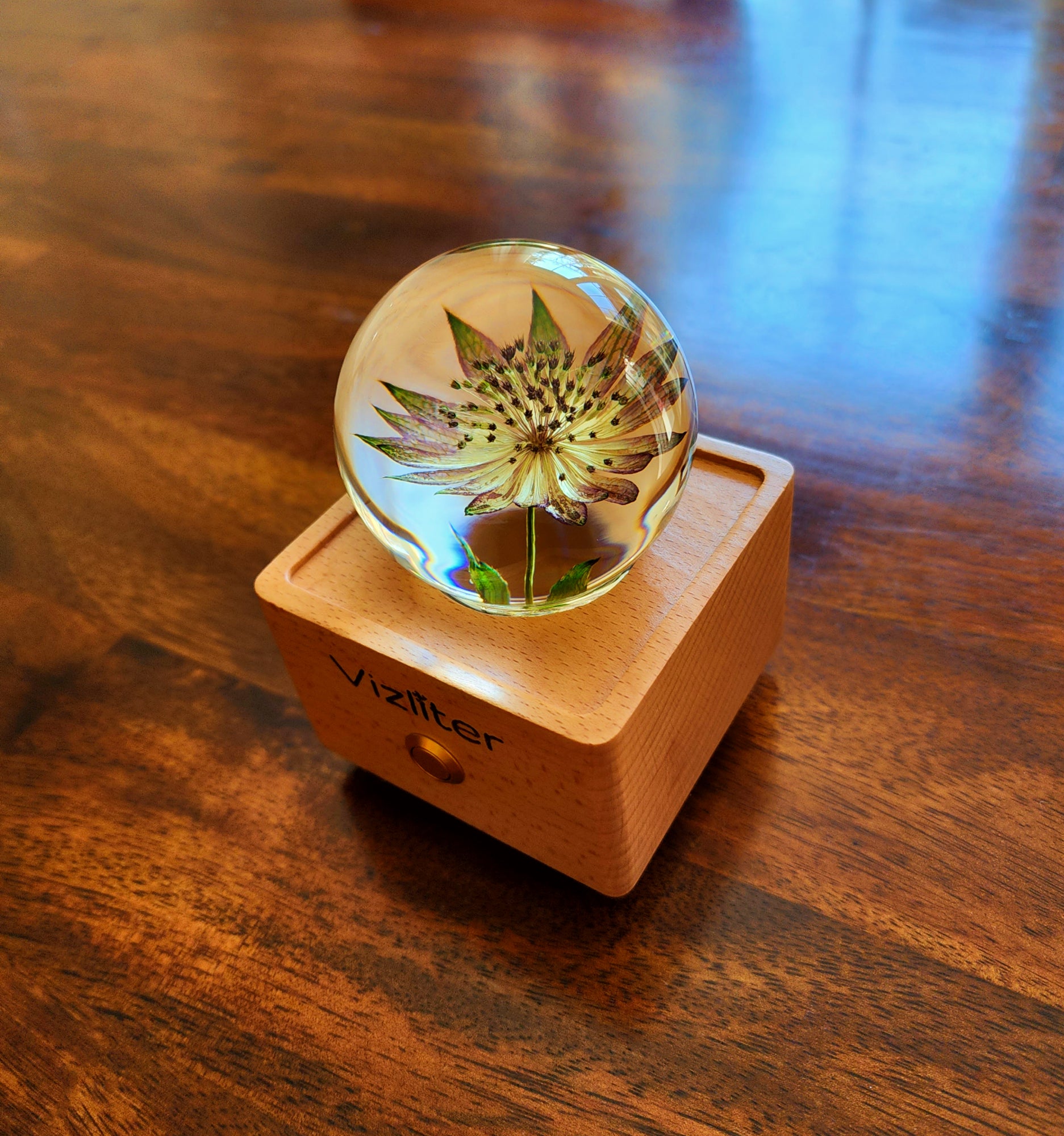 Bluetooth Speakers Crystal Ball LED Light Preserved Fresh Flower with Wood Base Night Light Great Masterwort Roma
