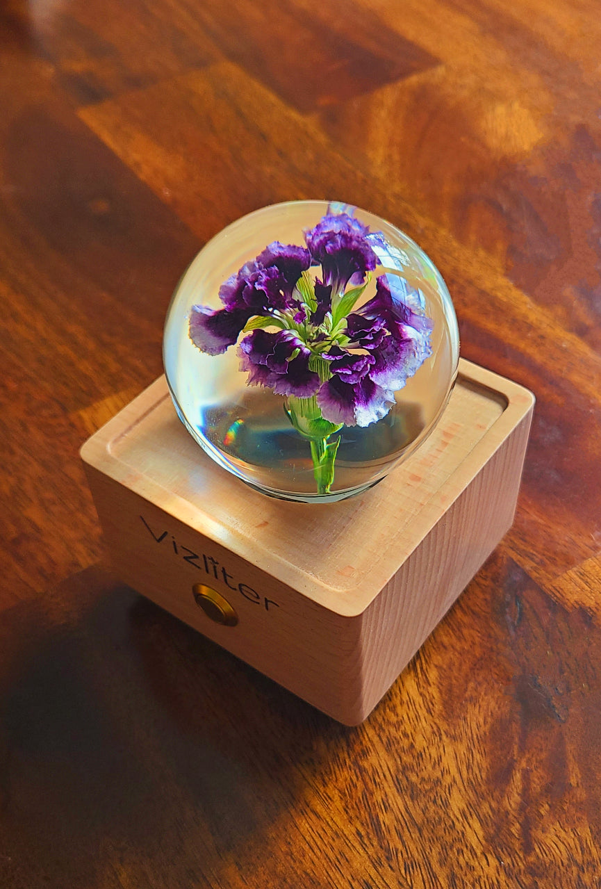 Vizliter Bluetooth Speakers Crystal Ball LED Light Preserved Fresh Flower with Wood Base Night Light Purple Carnation