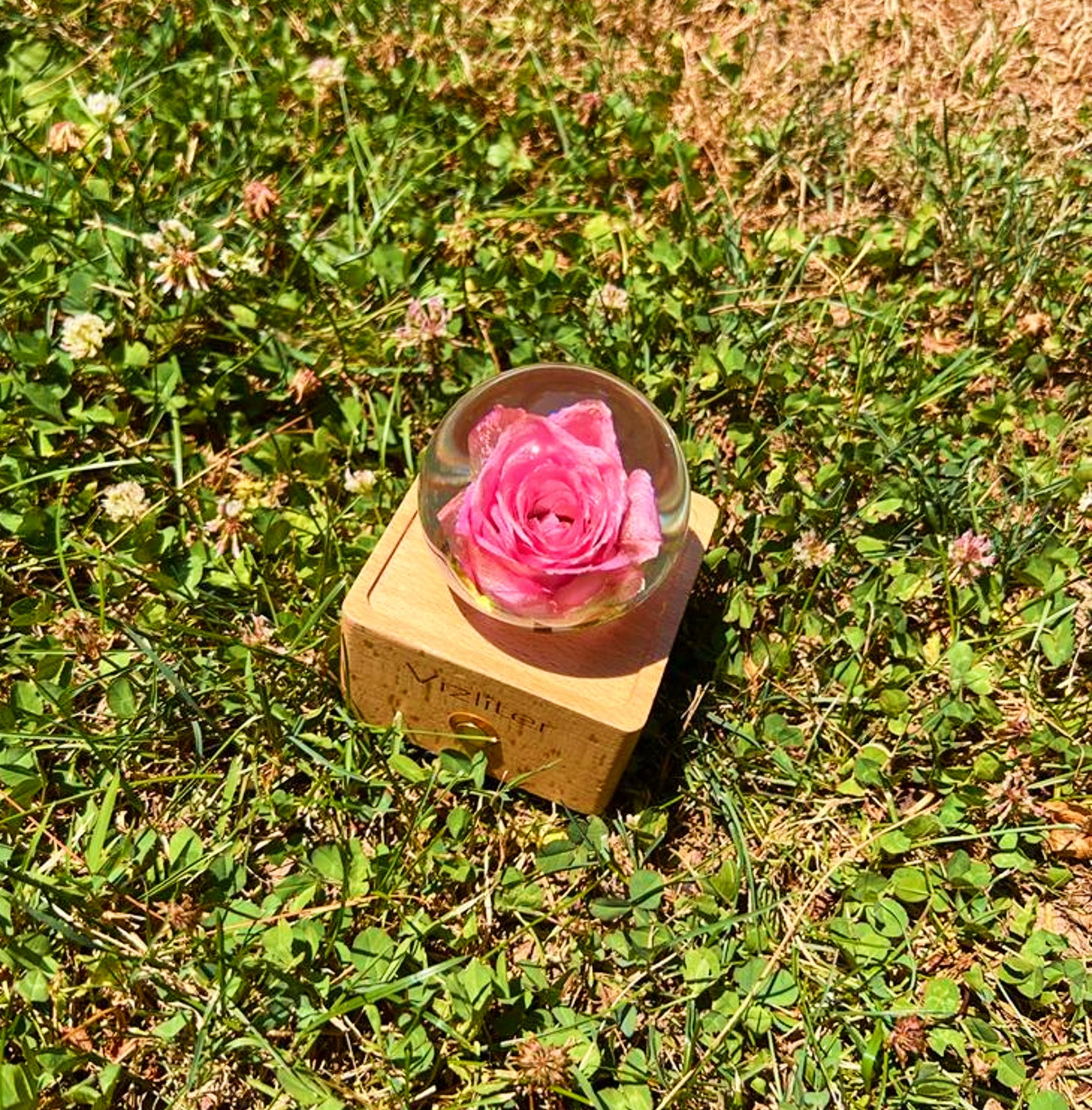 Bluetooth Speakers Crystal Ball LED Light Preserved Fresh Flower with Wood Base Night Light Pink Rose
