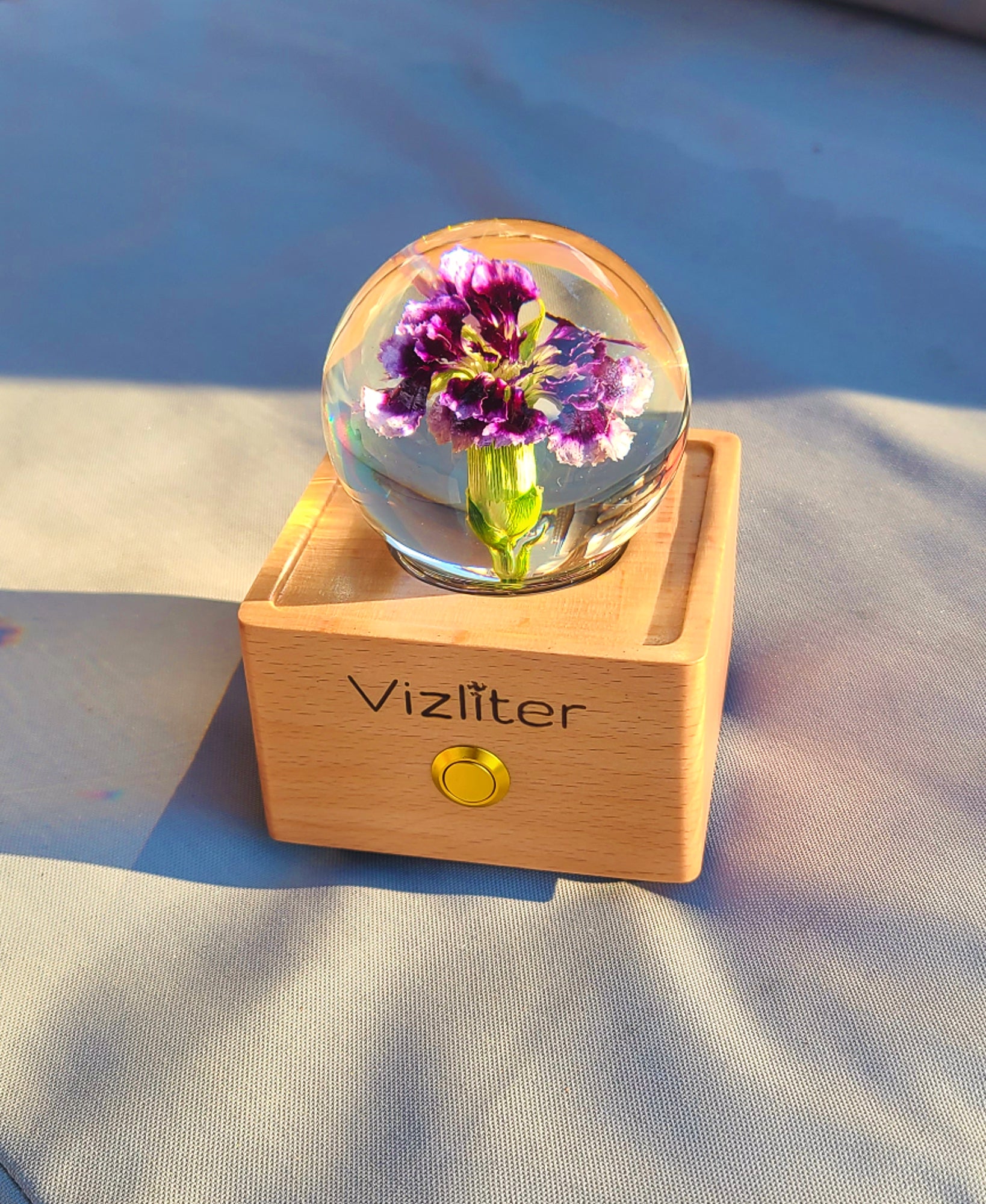 Vizliter Bluetooth Speakers Crystal Ball LED Light Preserved Fresh Flower with Wood Base Night Light Purple Carnation