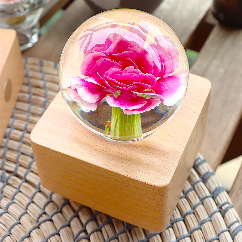 Bluetooth Speakers Crystal Ball LED Light Preserved Fresh Flower with Wood Base Night Light Pink Carnation