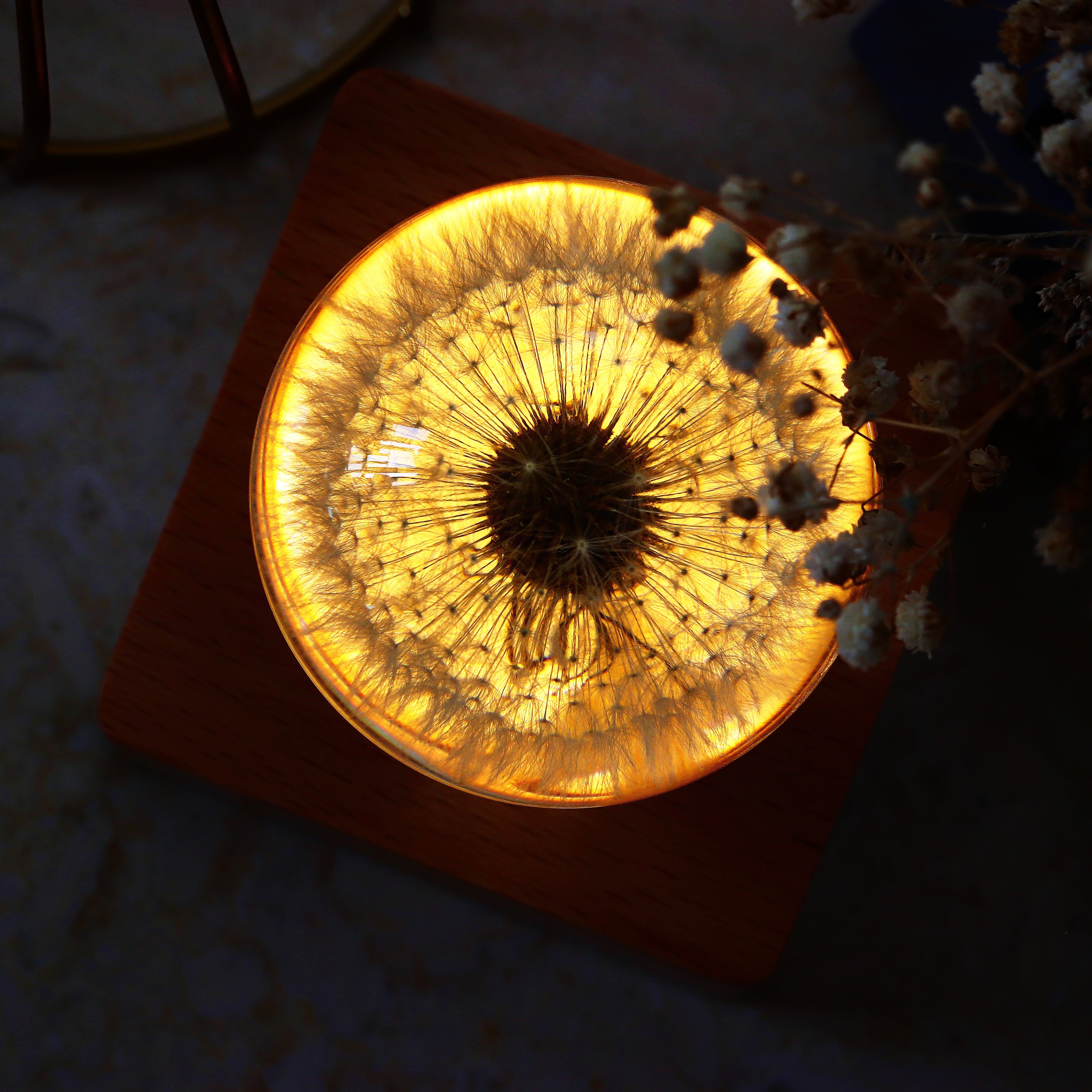 Bluetooth Speakers Crystal Ball LED Light Preserved Fresh Flower with Wood Base, Night Light Dandelion